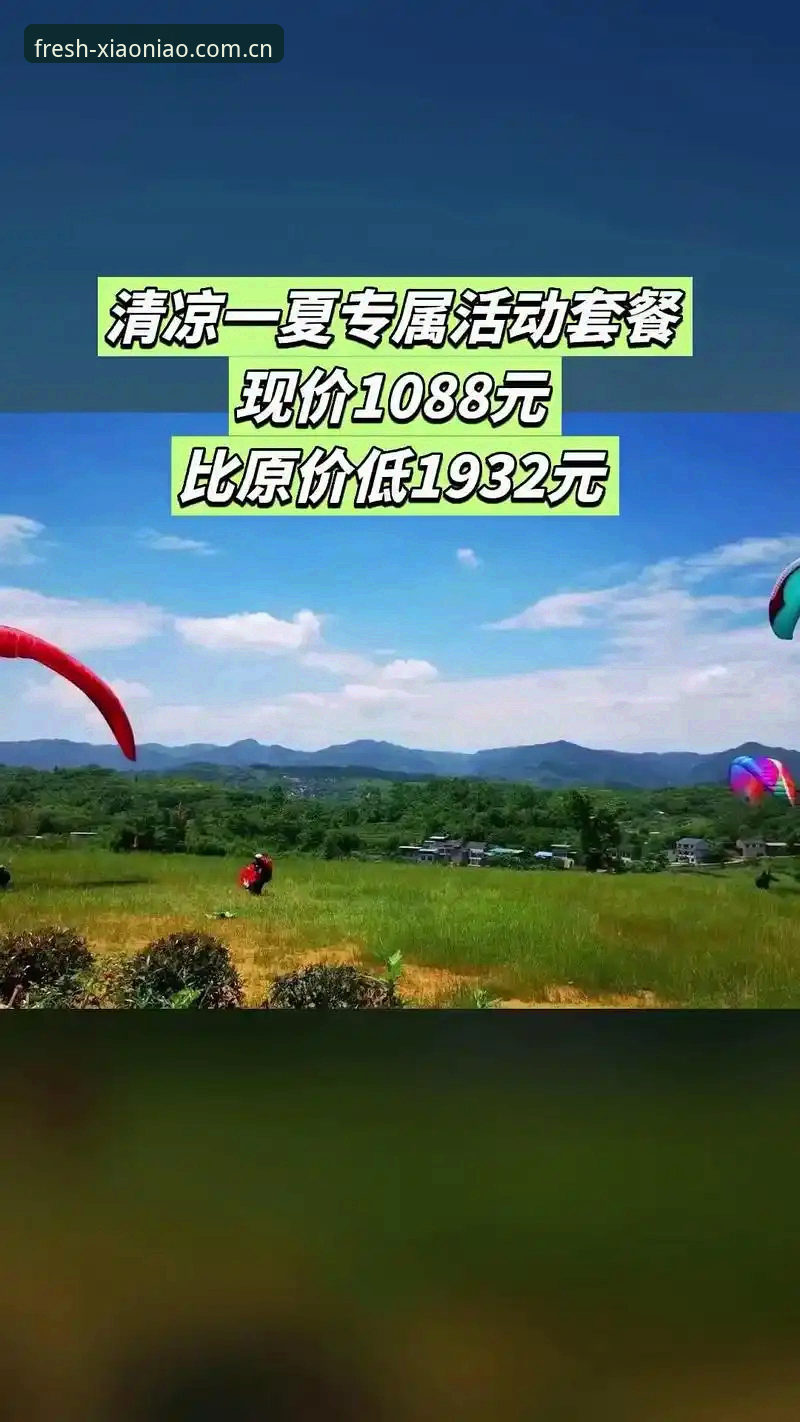 小鸟体育2025版使用教程：从下载到赛况追踪的全流程体验